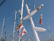 iabafc001013.jpg